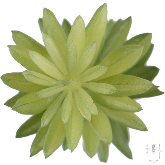 Planta artificiala Planta artificiala suculenta model34