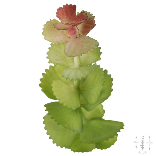 Planta artificiala Planta artificiala suculenta model35