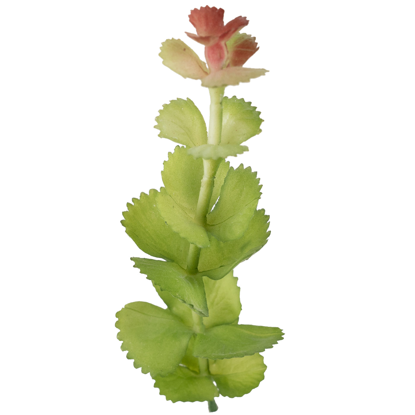 Planta artificiala Planta artificiala suculenta model35