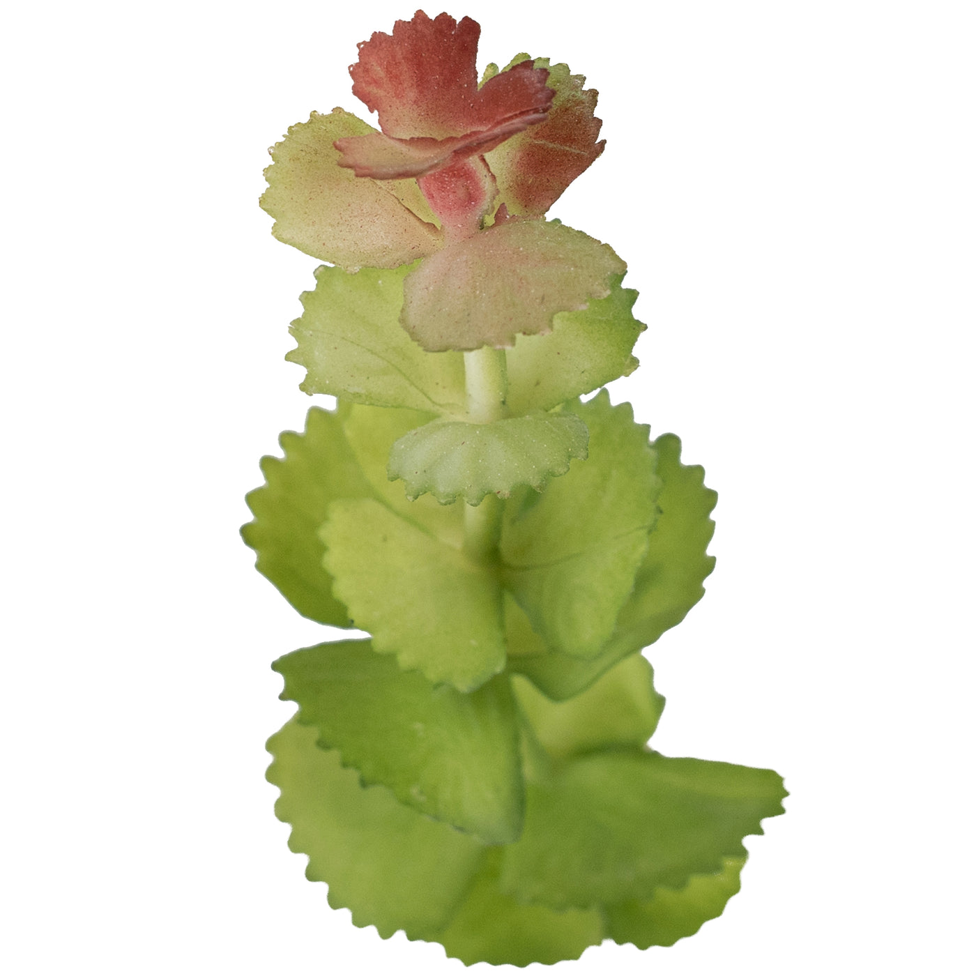 Planta artificiala Planta artificiala suculenta model35