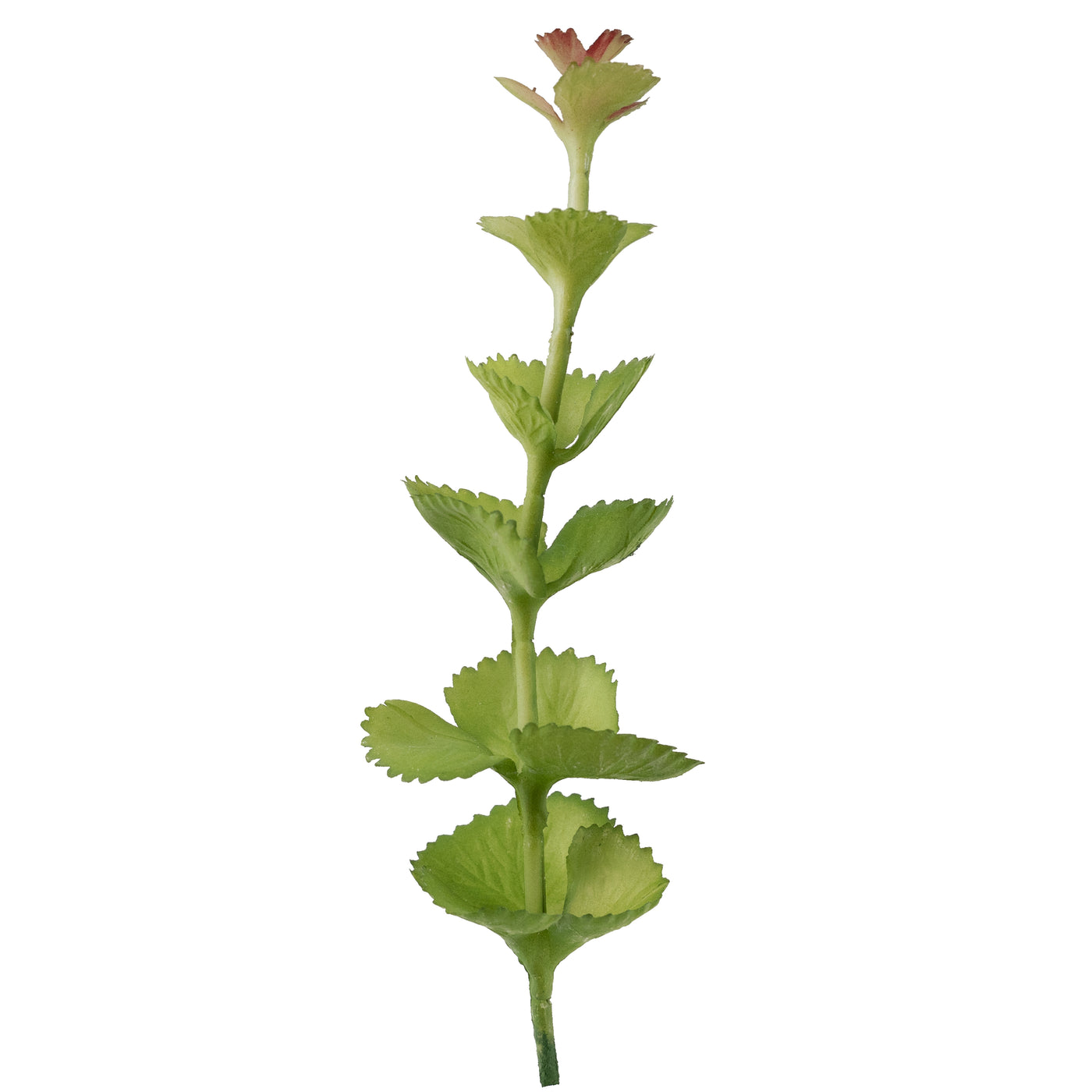 Planta artificiala Planta artificiala suculenta model35