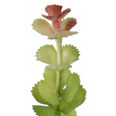 Planta artificiala Planta artificiala suculenta model35