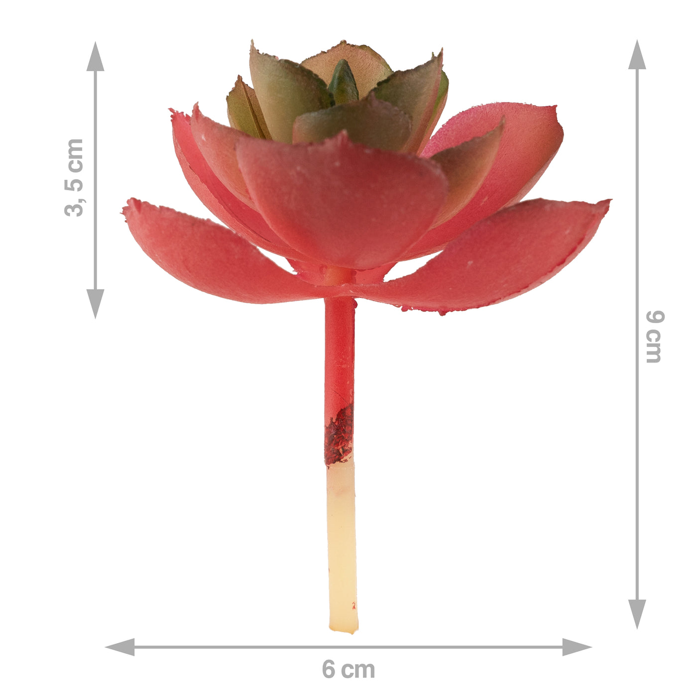 Planta artificiala suculenta model36