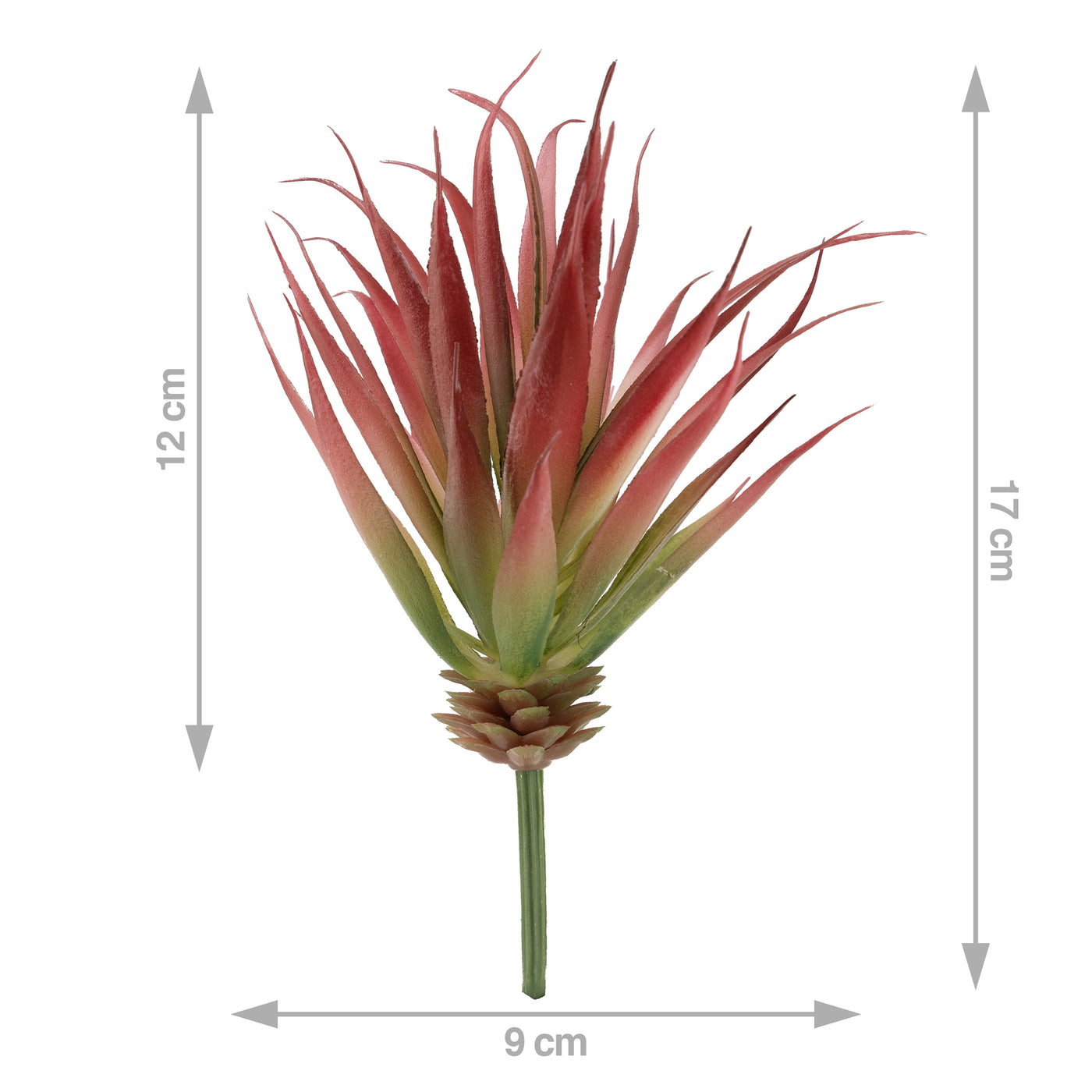 Planta artificiala suculenta model38