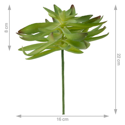 Planta artificiala Planta artificiala suculenta model39