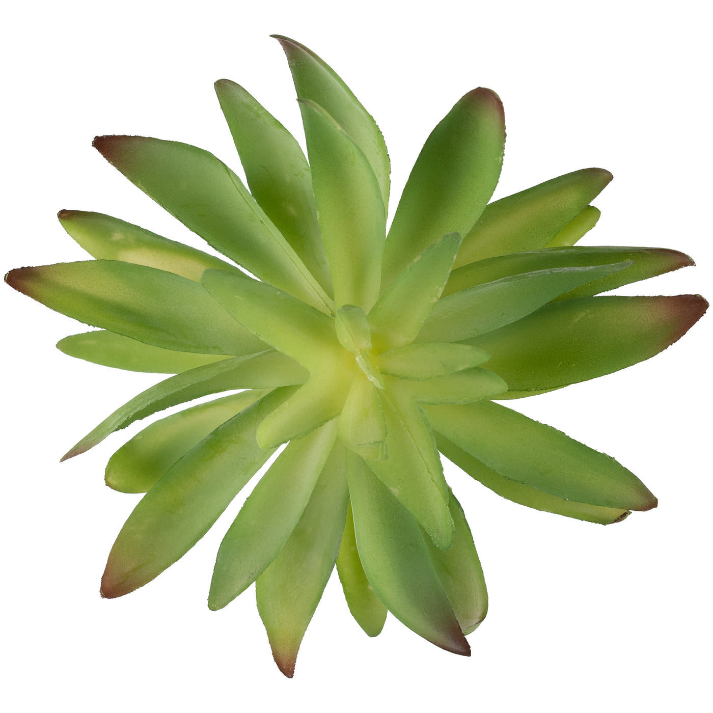 Planta artificiala Planta artificiala suculenta model39