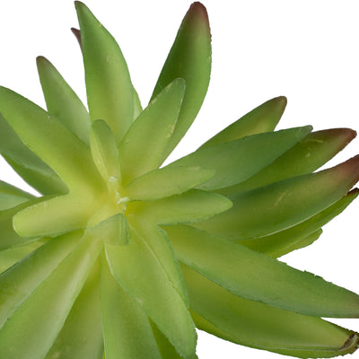 Planta artificiala Planta artificiala suculenta model39