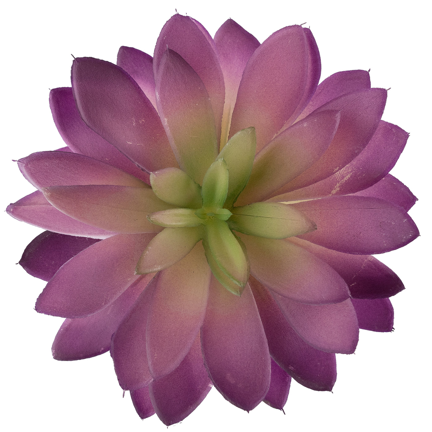 Planta artificiala Planta artificiala suculenta model4