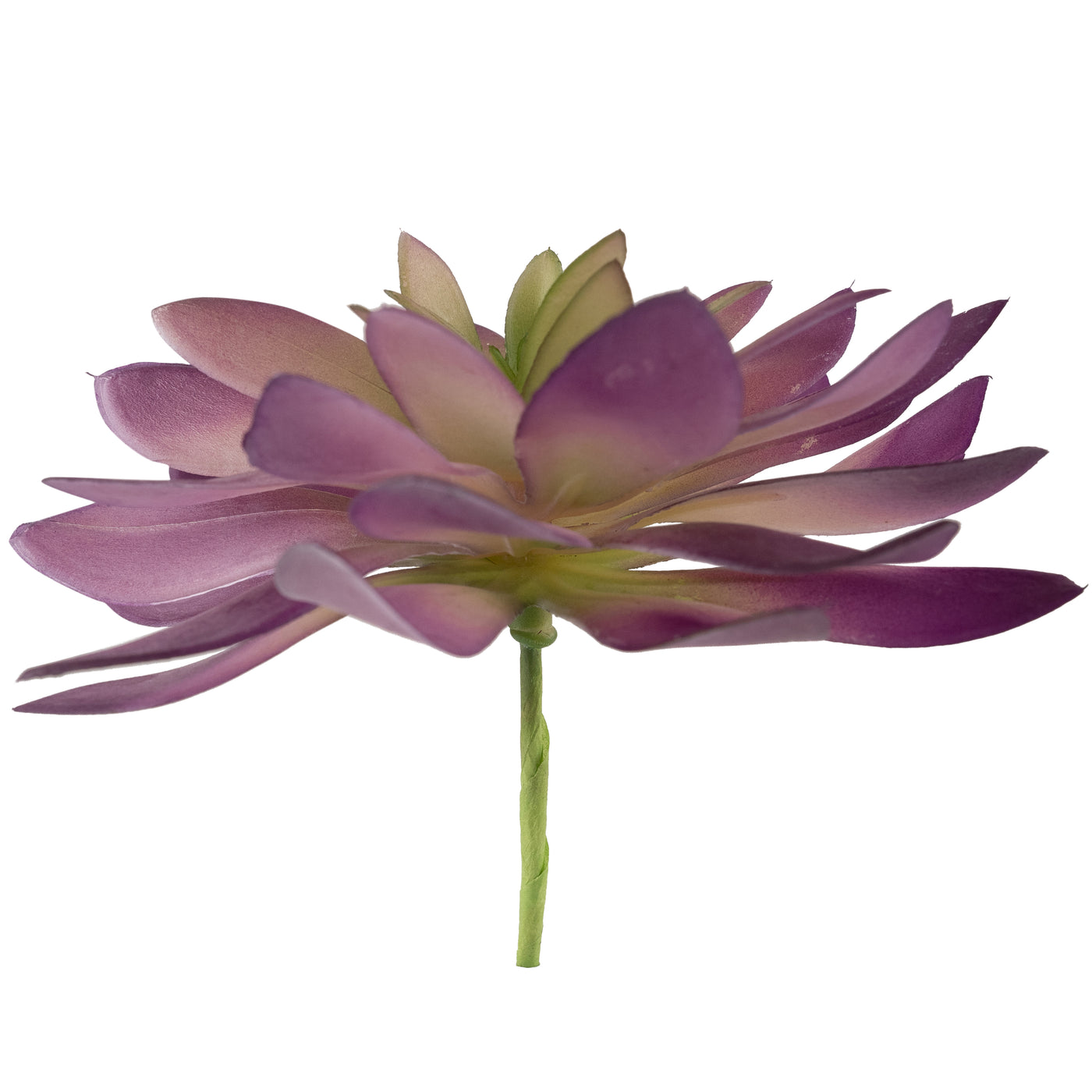 Planta artificiala Planta artificiala suculenta model4