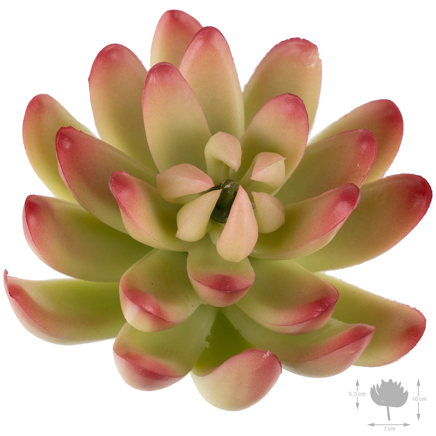 Planta artificiala Planta artificiala suculenta model42