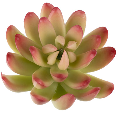 Planta artificiala Planta artificiala suculenta model42