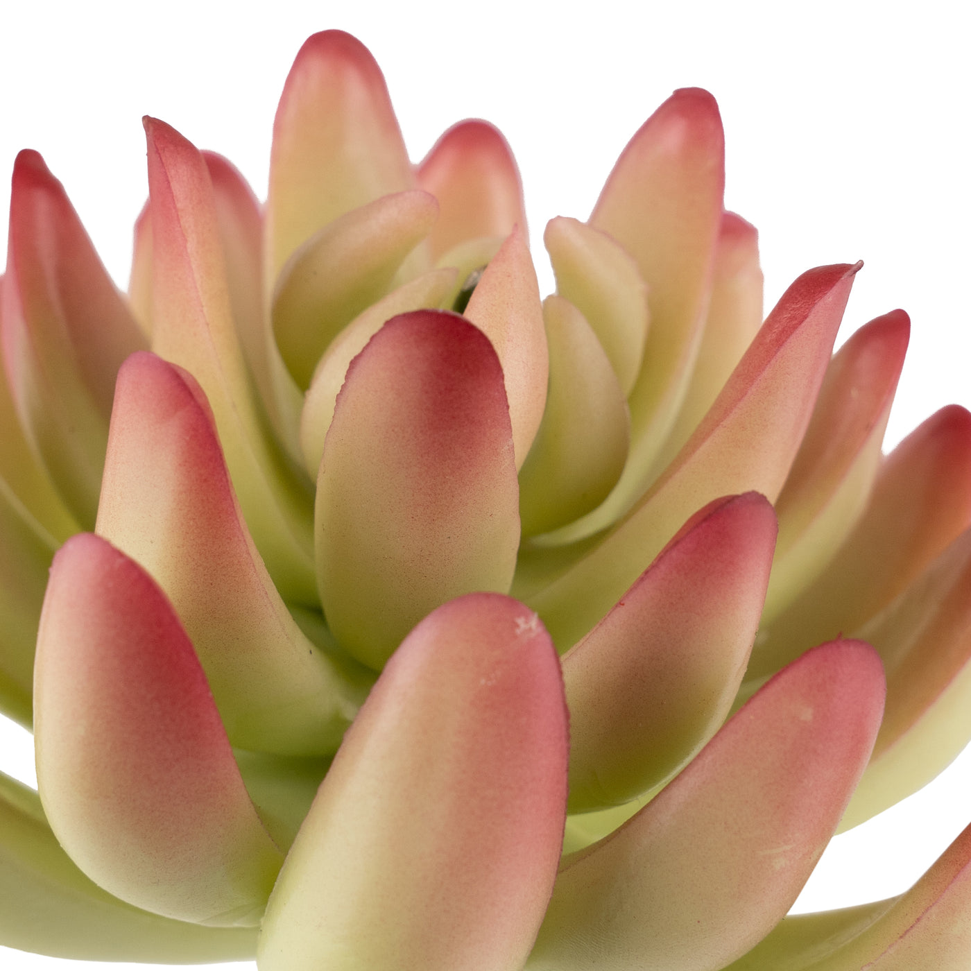 Planta artificiala Planta artificiala suculenta model42