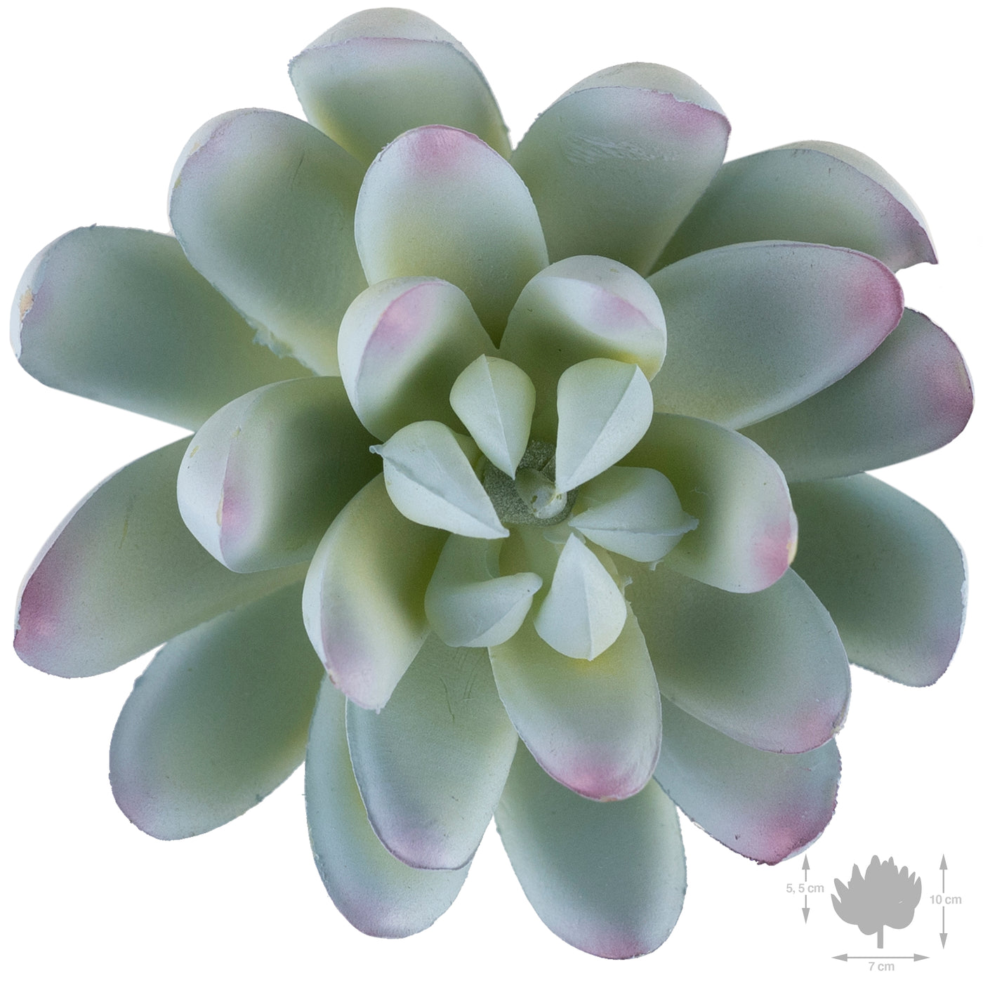 Planta artificiala Planta artificiala suculenta model43