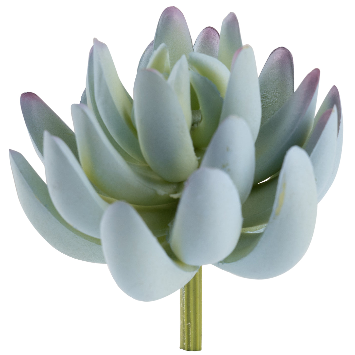 Planta artificiala Planta artificiala suculenta model43