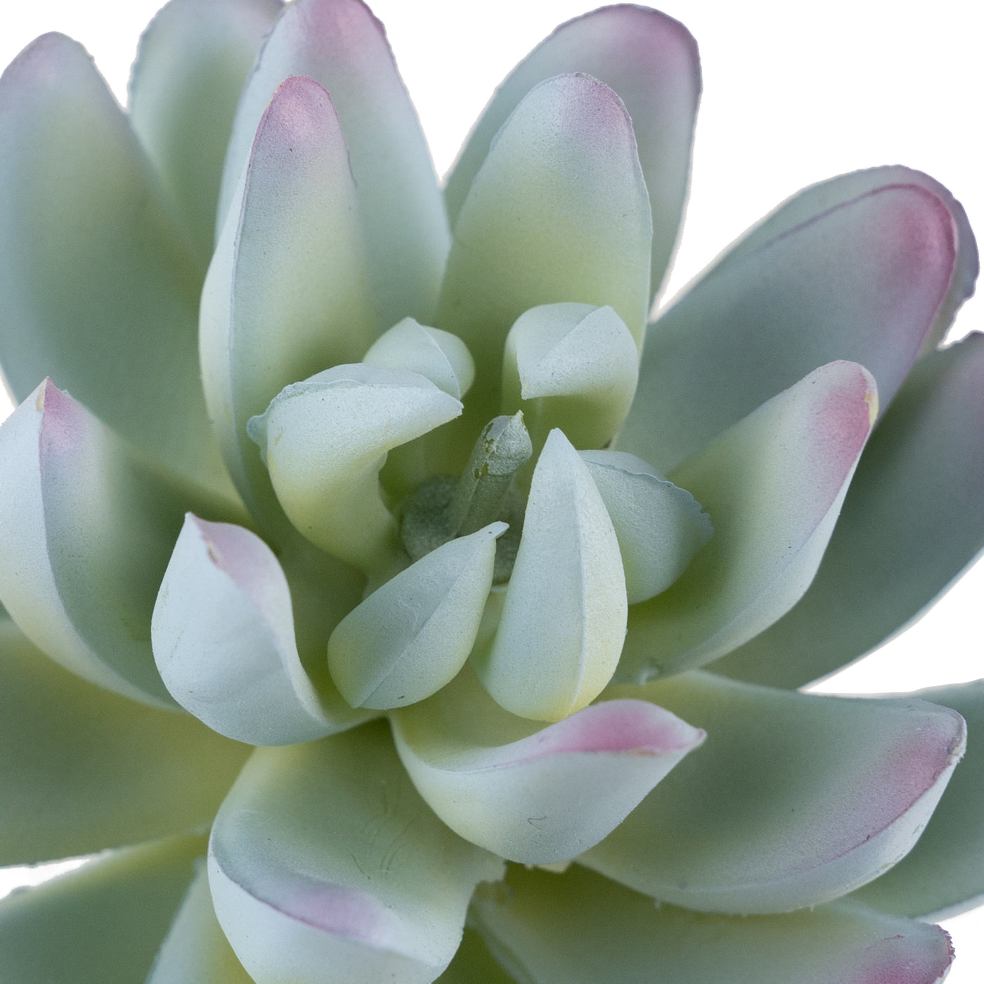 Planta artificiala Planta artificiala suculenta model43