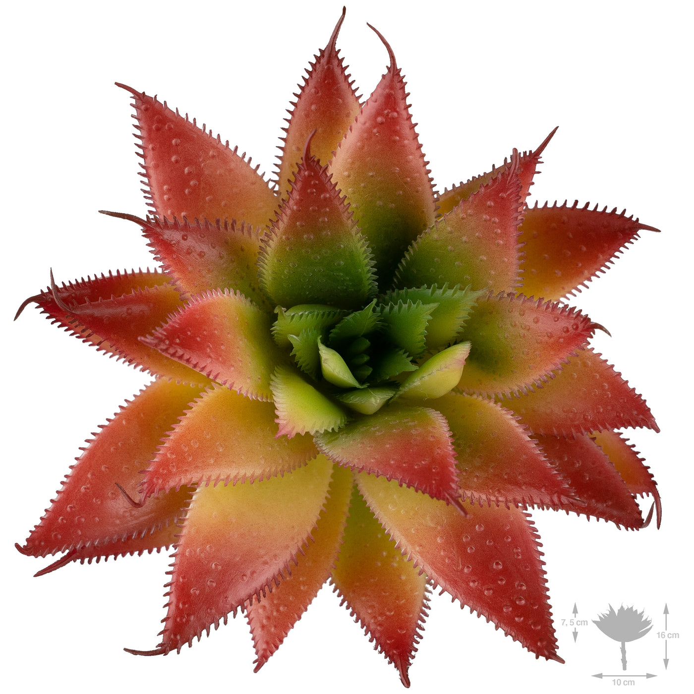 Planta artificiala Planta artificiala suculenta model44