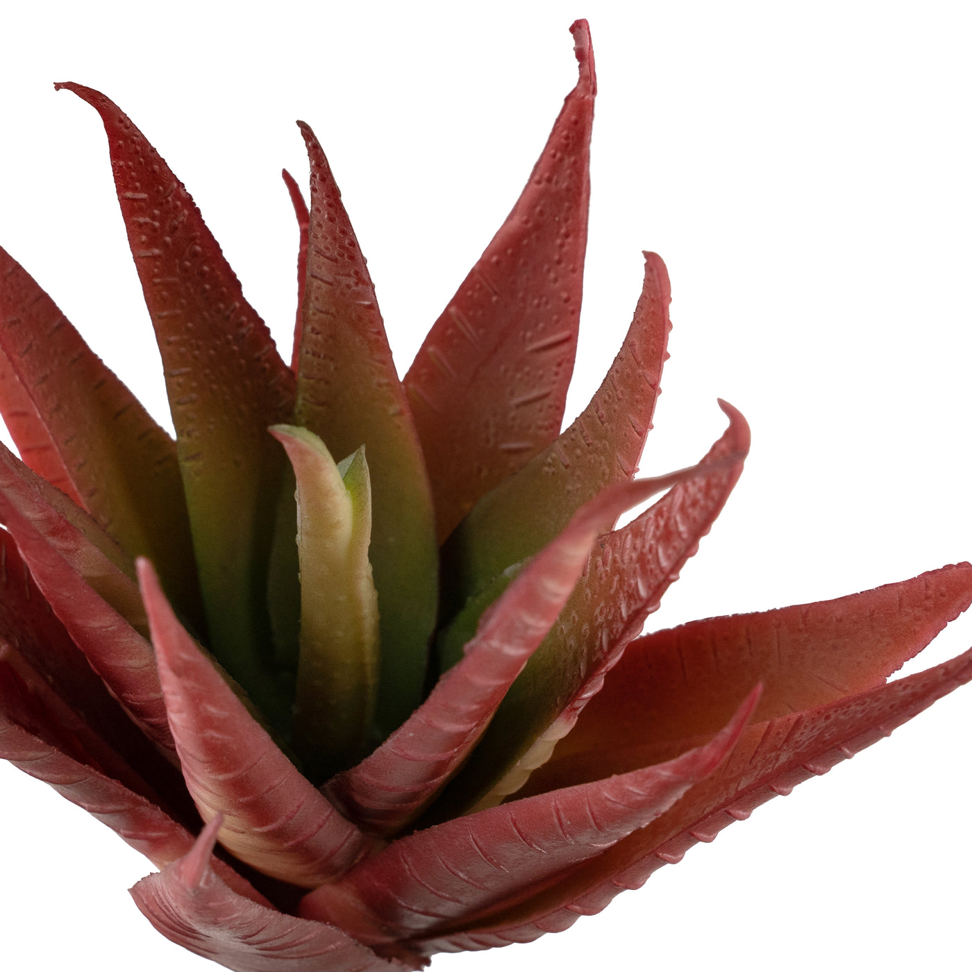 Planta artificiala Planta artificiala suculenta model49