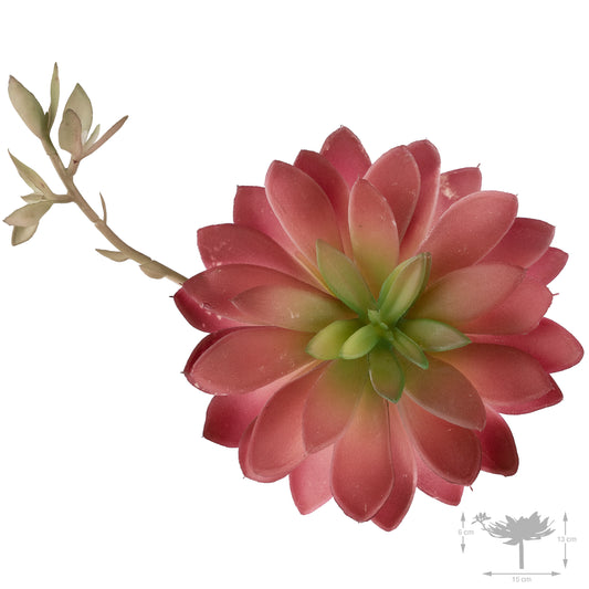 Planta artificiala Planta artificiala suculenta model5