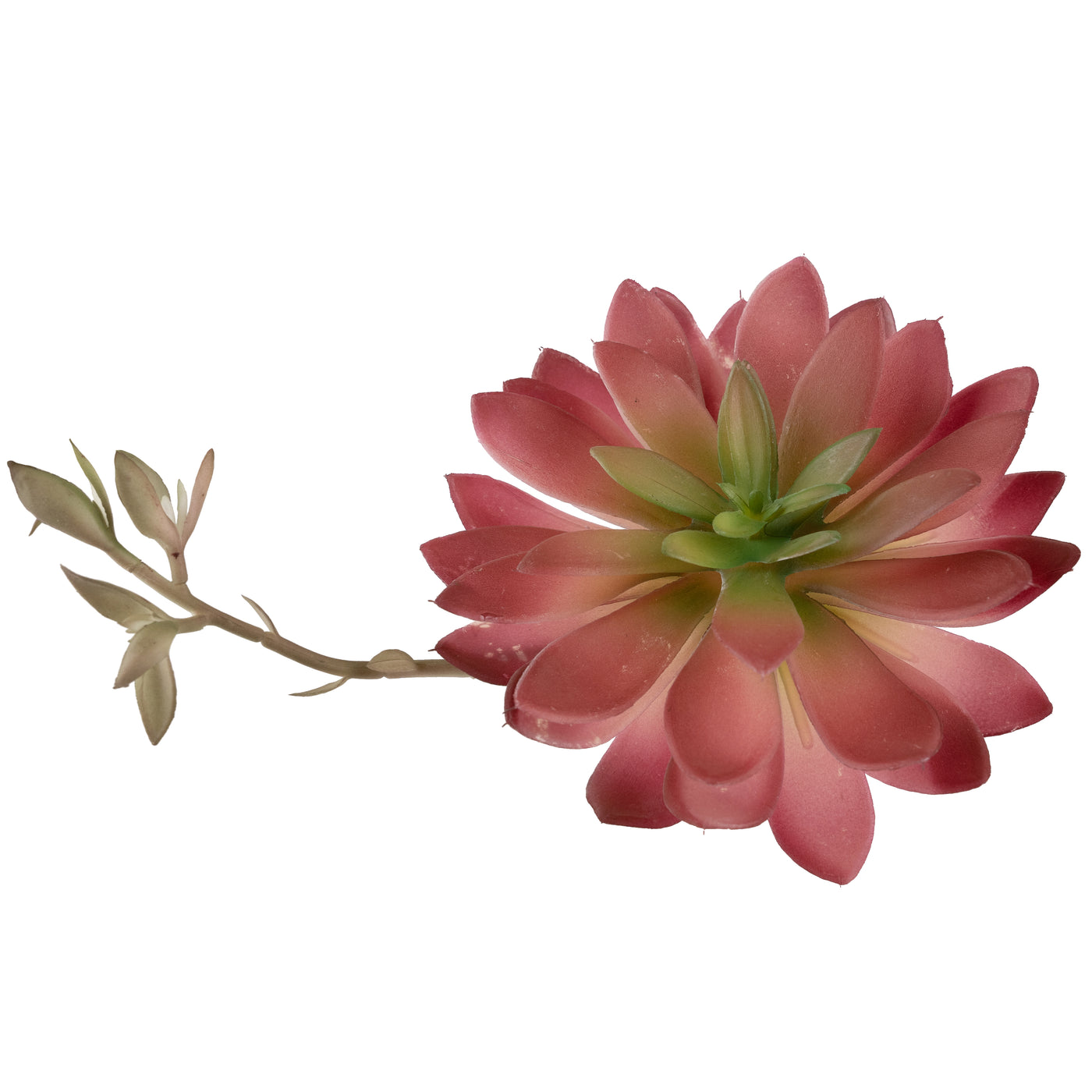 Planta artificiala Planta artificiala suculenta model5