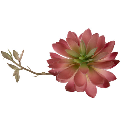 Planta artificiala Planta artificiala suculenta model5