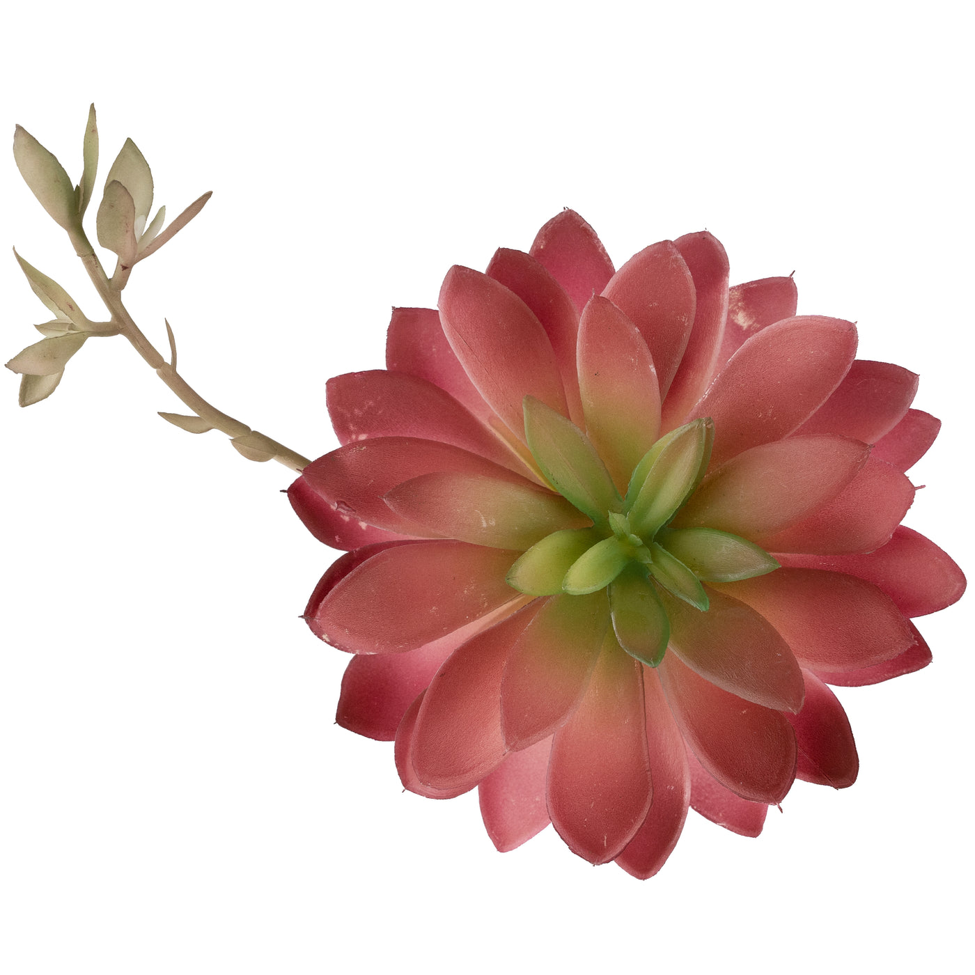 Planta artificiala Planta artificiala suculenta model5