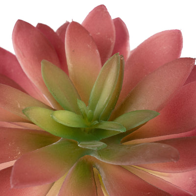 Planta artificiala Planta artificiala suculenta model5