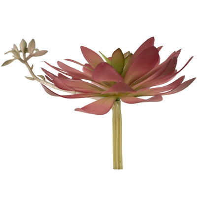 Planta artificiala Planta artificiala suculenta model5