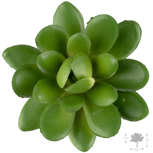 Planta artificiala Planta artificiala suculenta model51