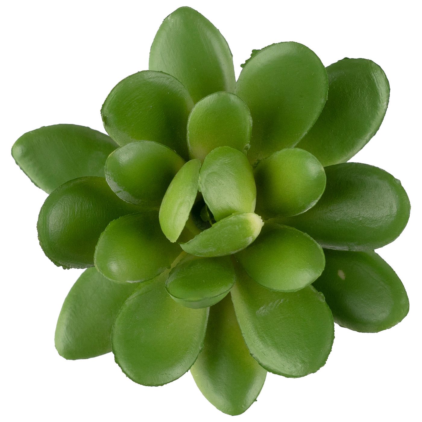 Planta artificiala Planta artificiala suculenta model51