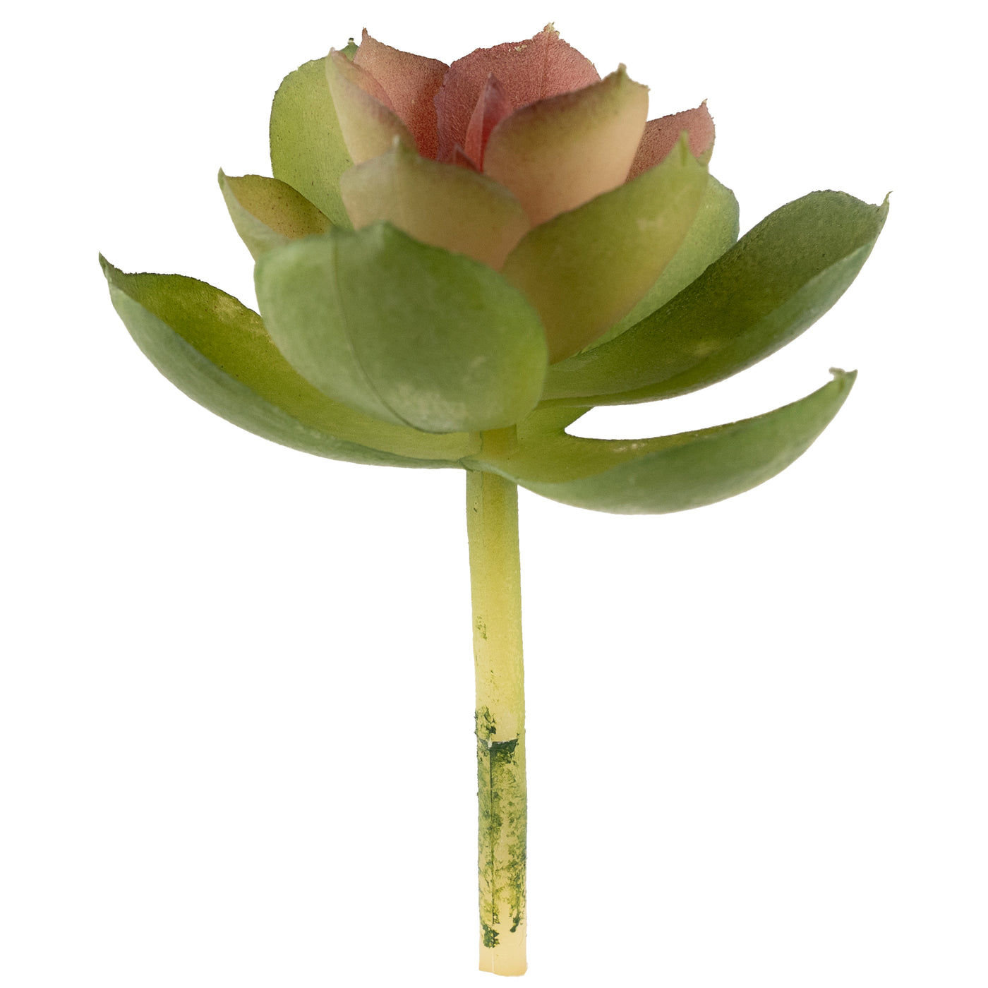 Planta artificiala Planta artificiala suculenta model52