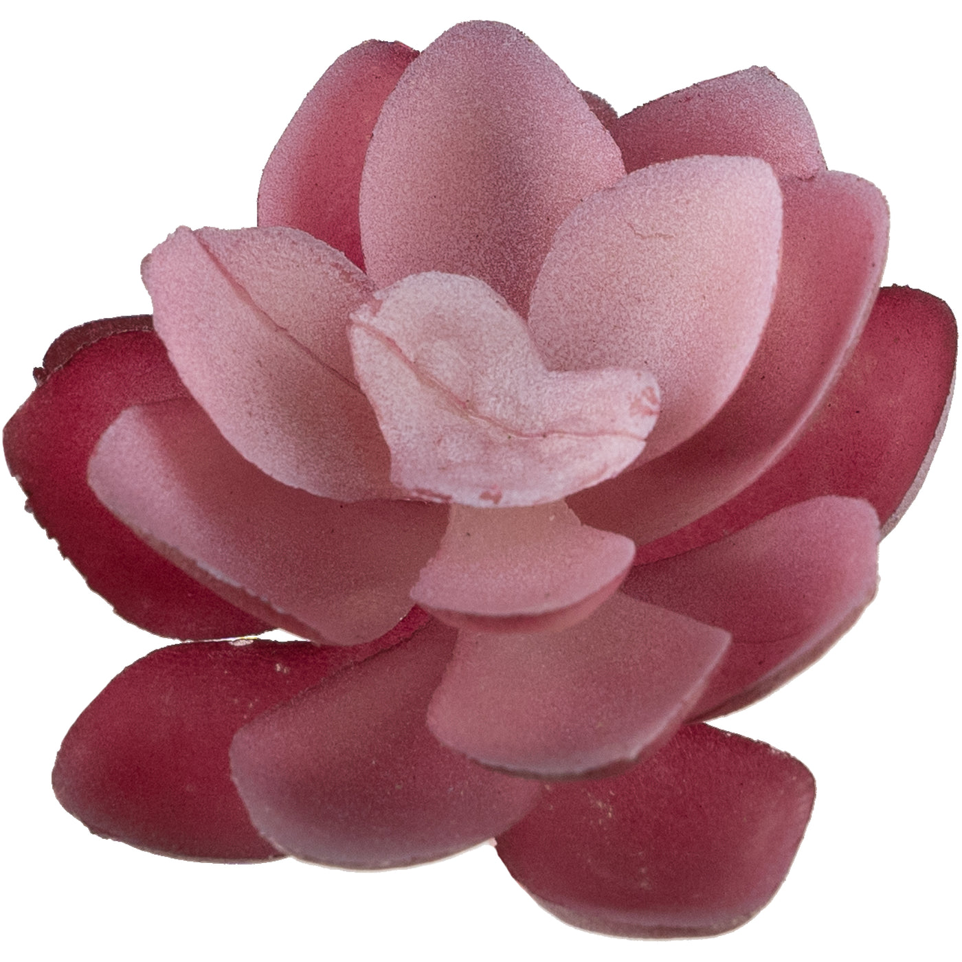 Planta artificiala Planta artificiala suculenta model57