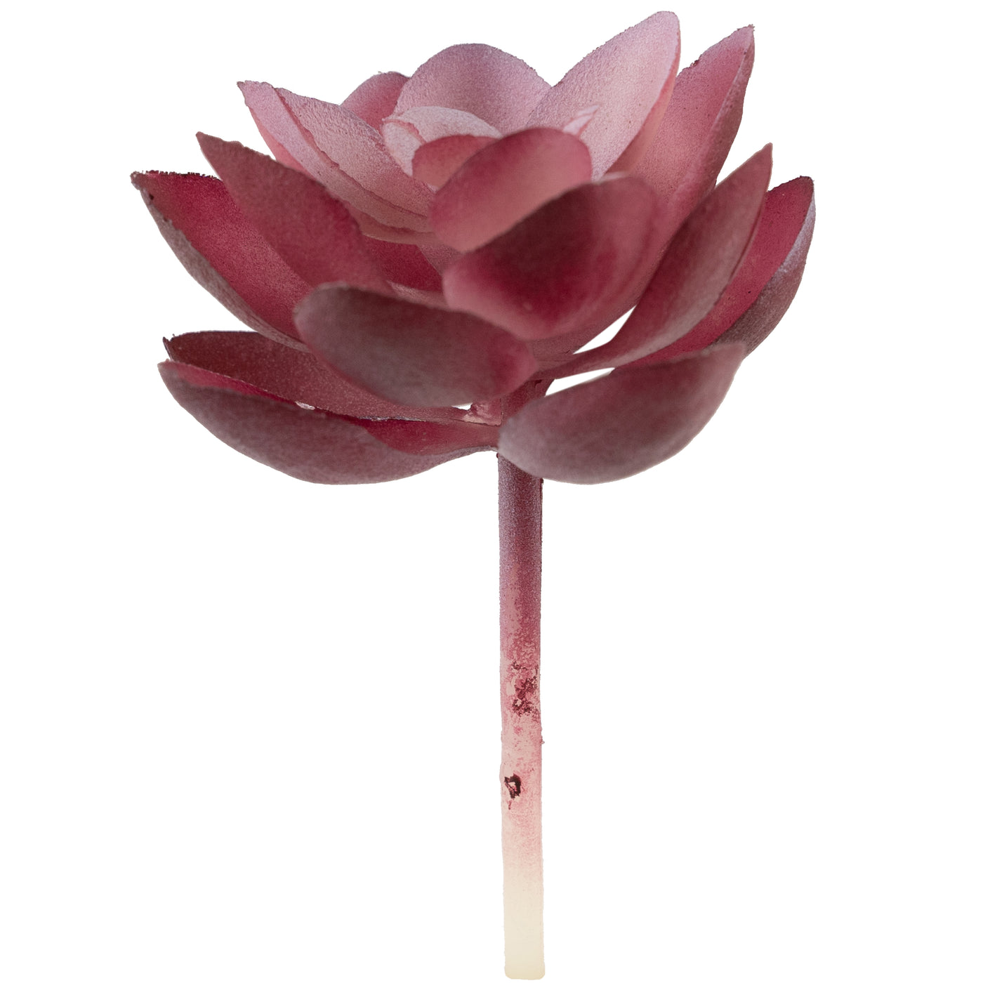 Planta artificiala Planta artificiala suculenta model57