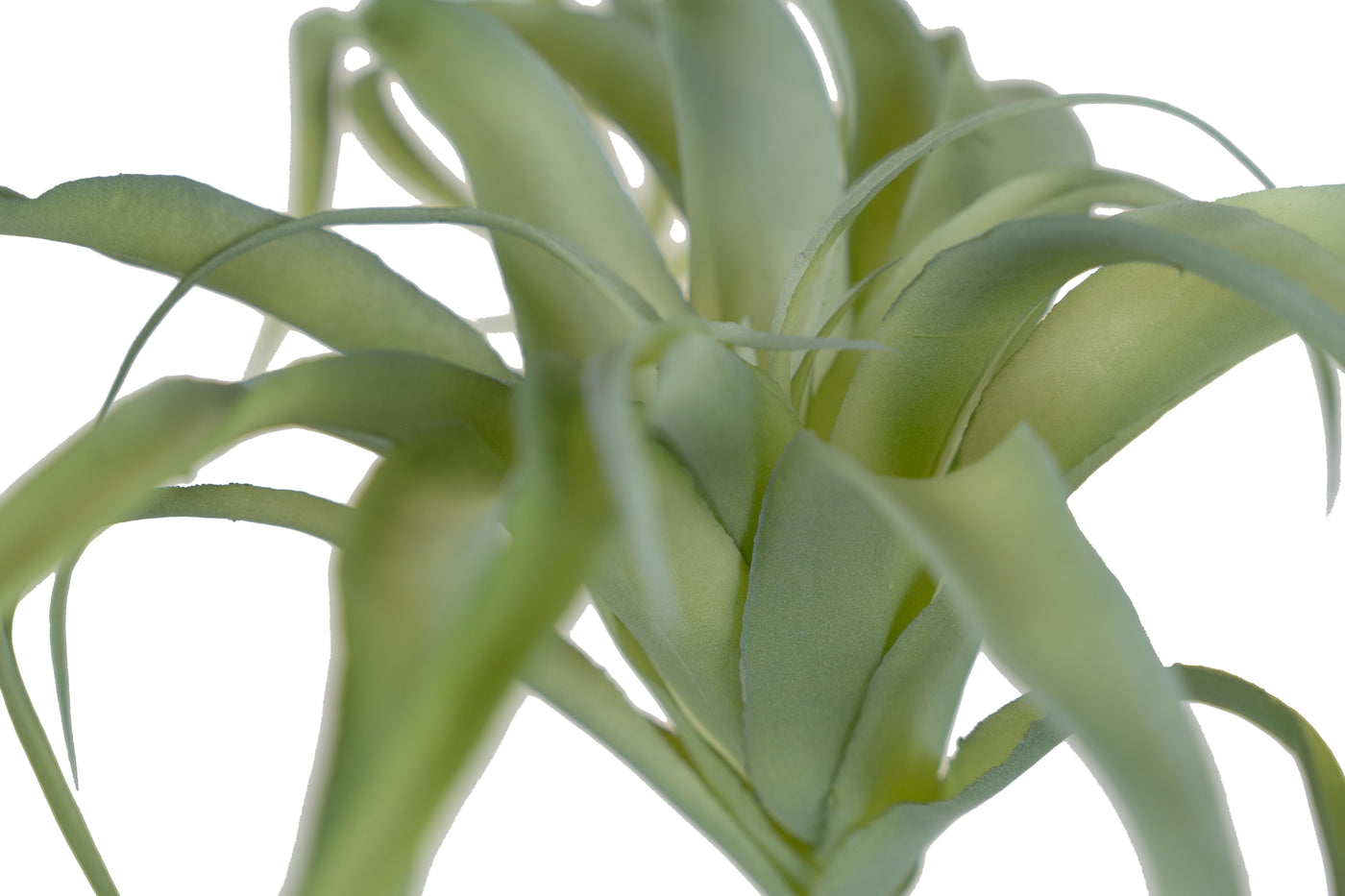 Planta artificiala Planta artificiala suculenta model6