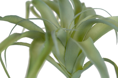 Planta artificiala Planta artificiala suculenta model6