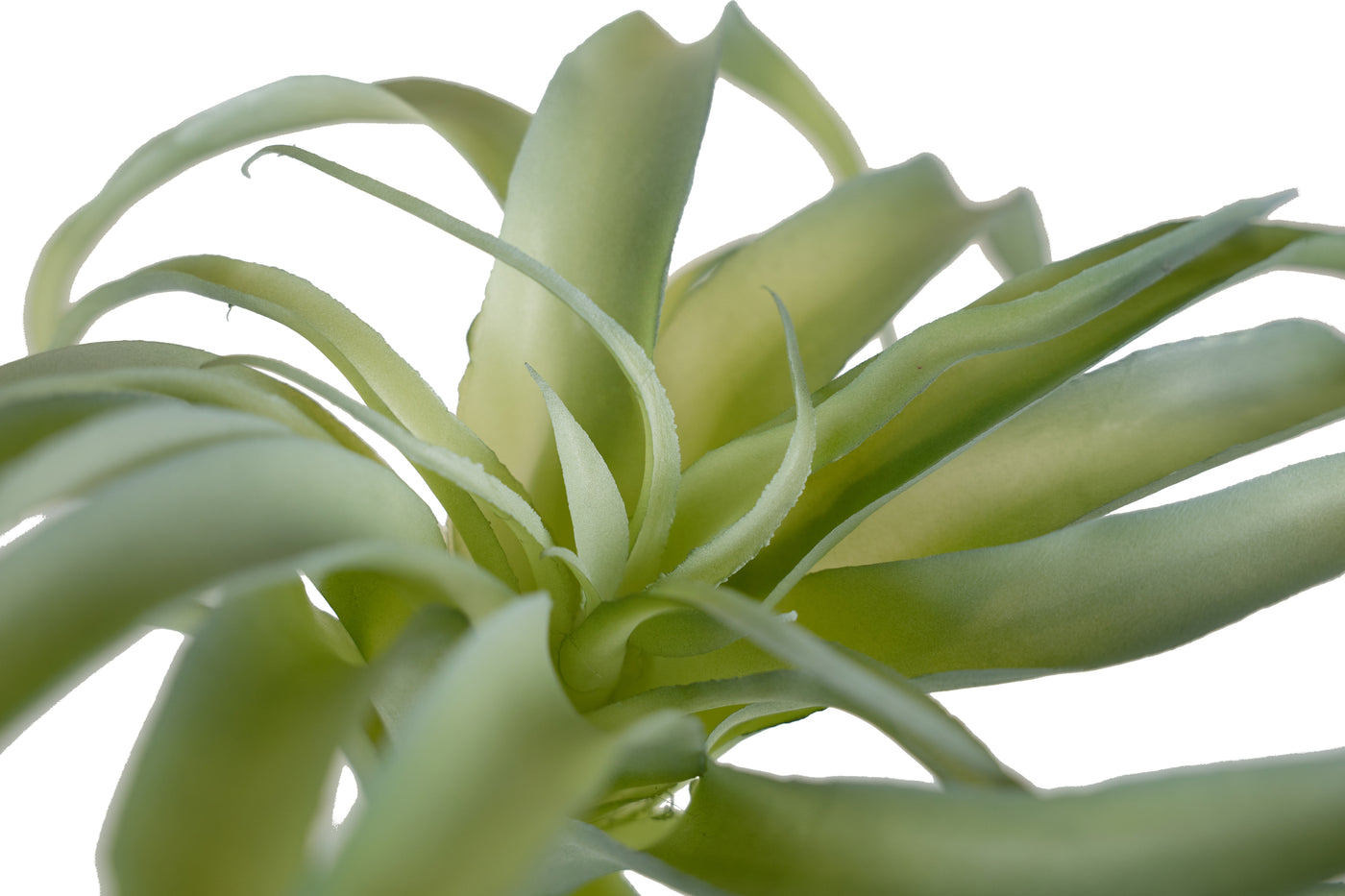 Planta artificiala Planta artificiala suculenta model6