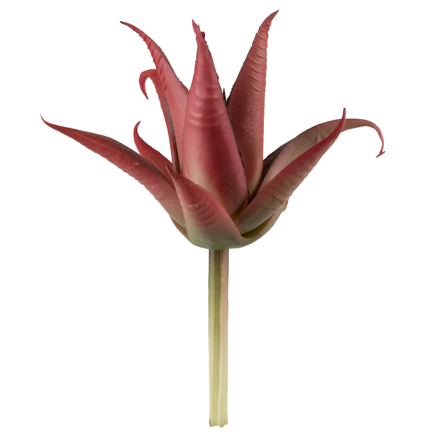 Planta artificiala Planta artificiala suculenta model60