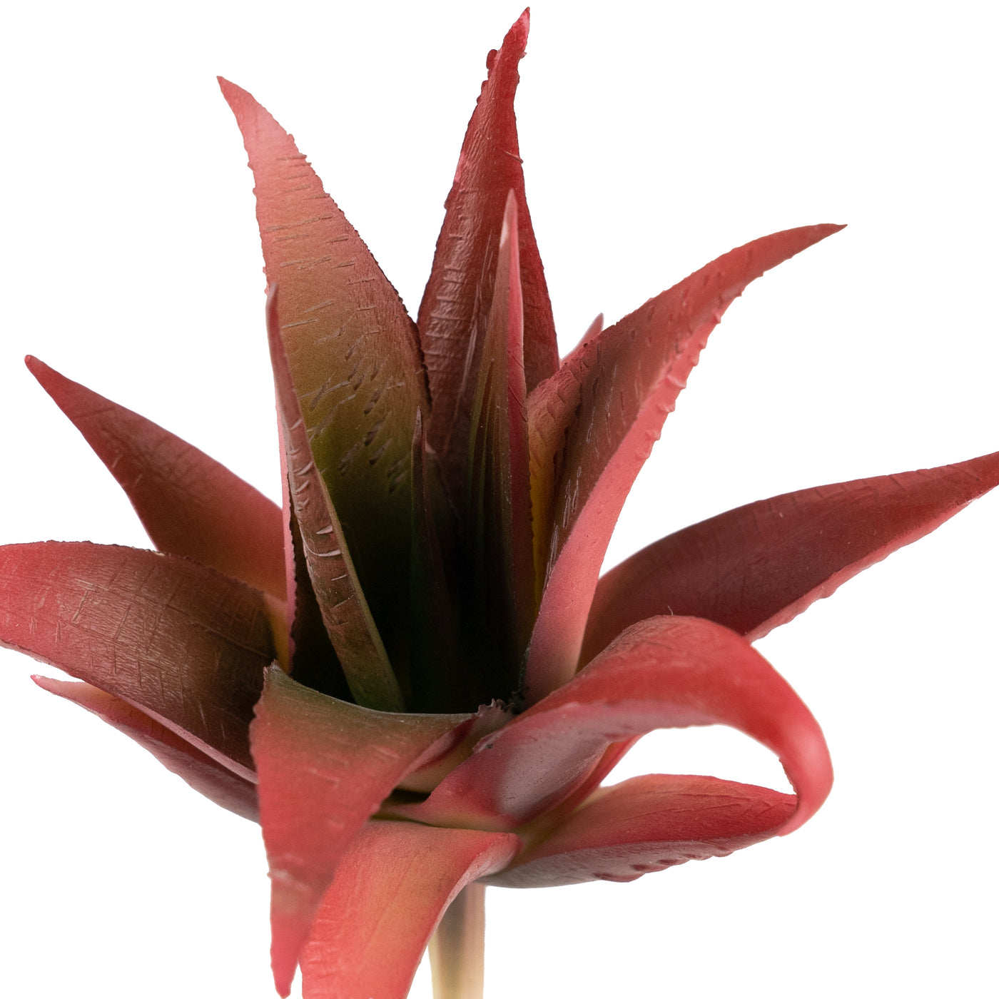 Planta artificiala Planta artificiala suculenta model60