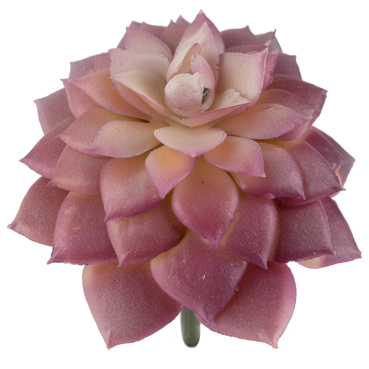 Planta artificiala Planta artificiala suculenta model61