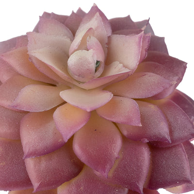 Planta artificiala Planta artificiala suculenta model61