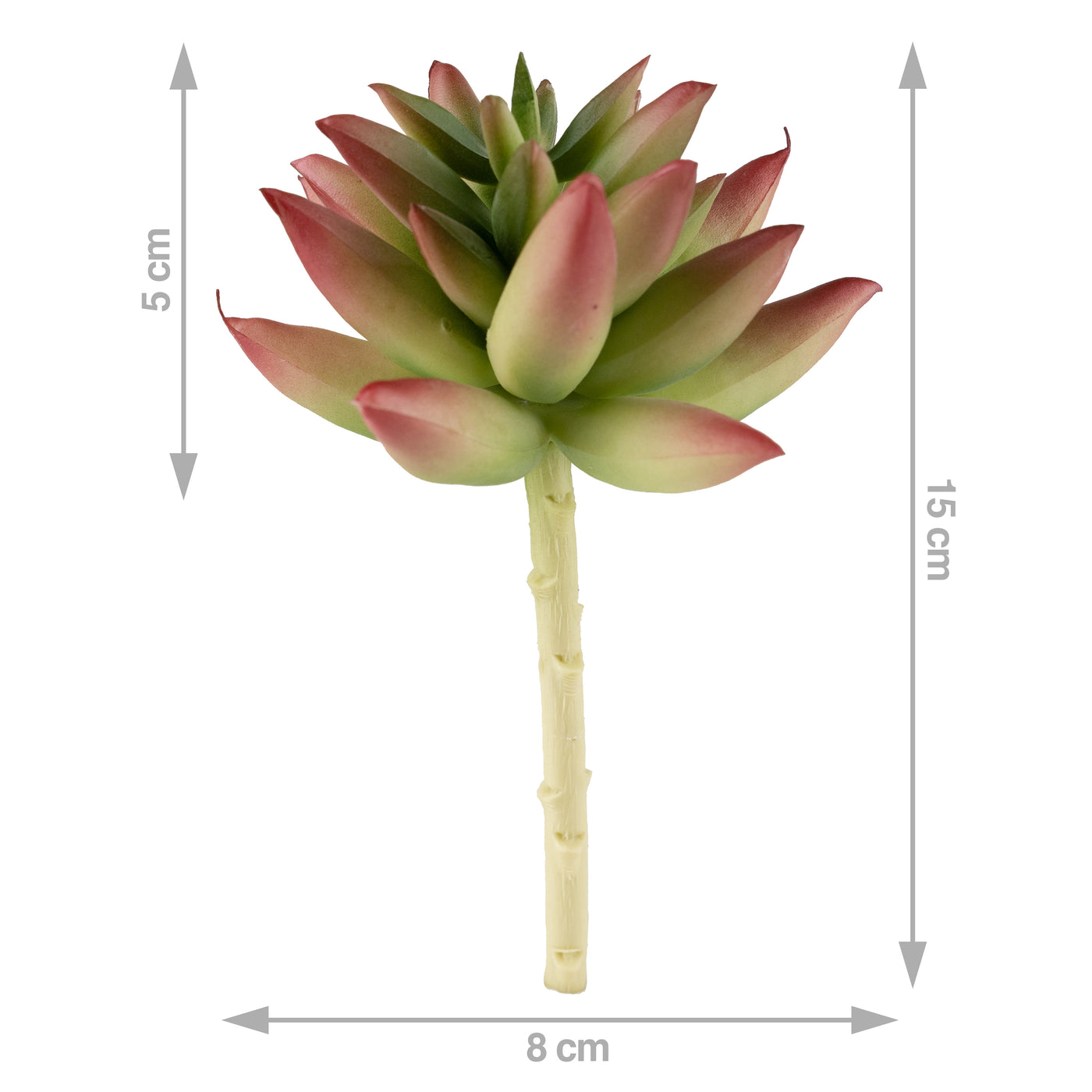 Planta artificiala suculenta model63