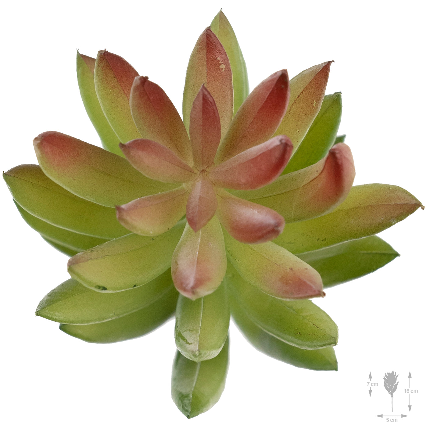 Planta artificiala Planta artificiala suculenta model64