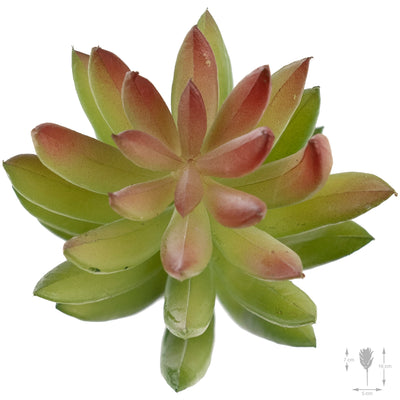 Planta artificiala Planta artificiala suculenta model64