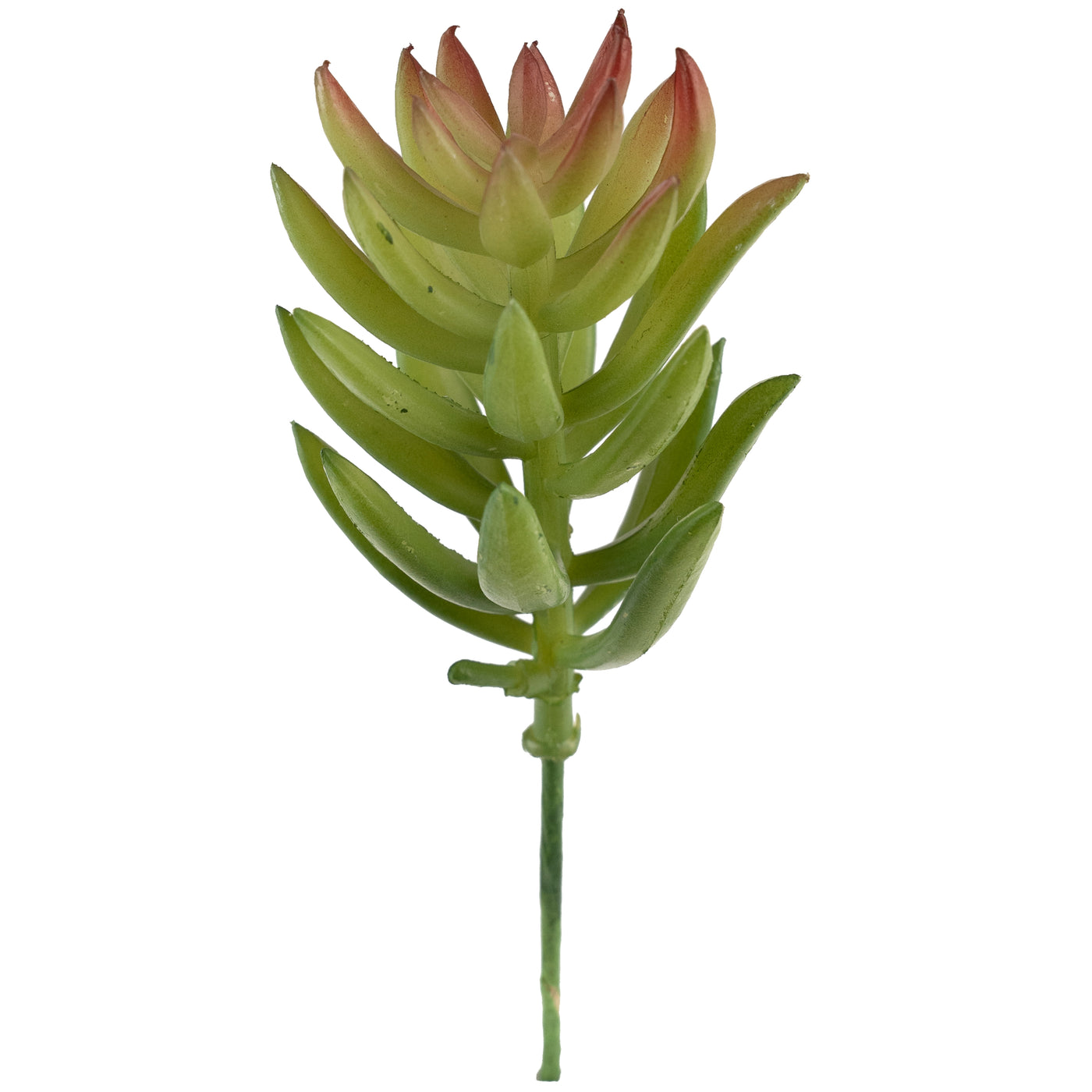 Planta artificiala Planta artificiala suculenta model64