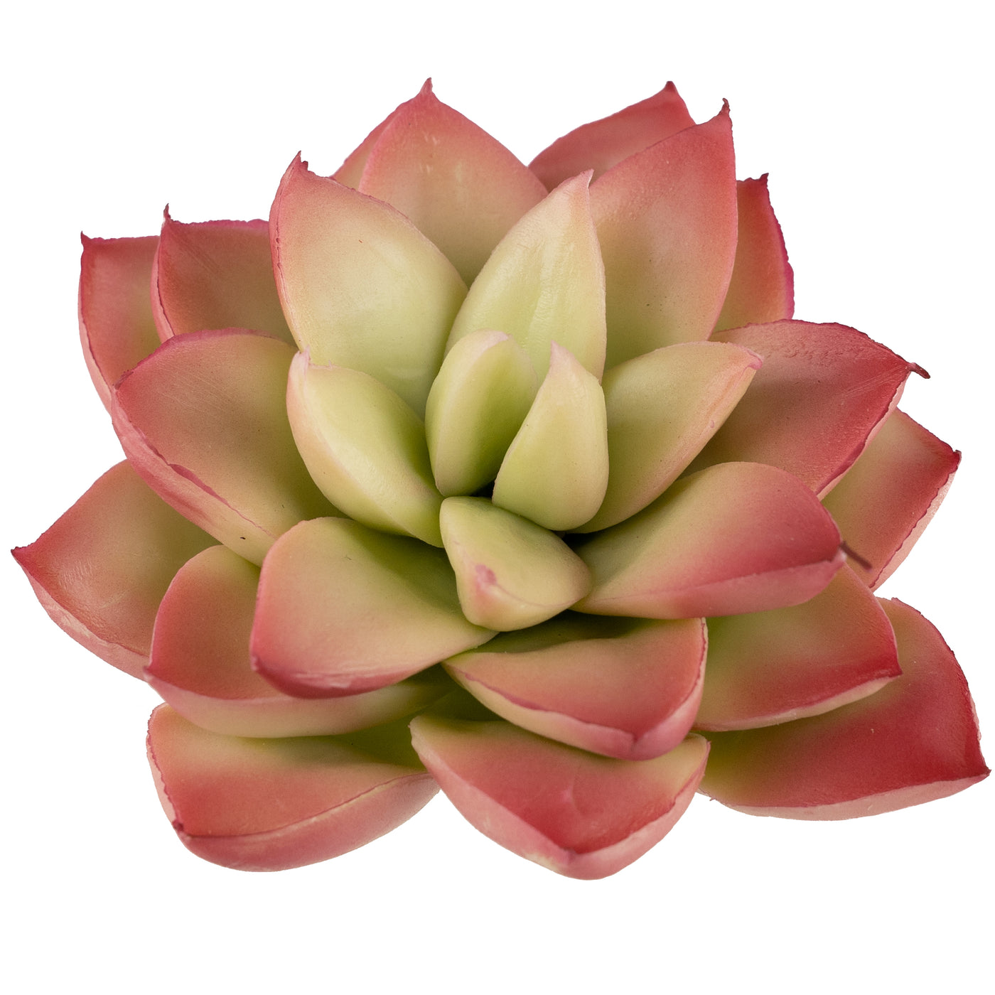 Planta artificiala Planta artificiala suculenta model65