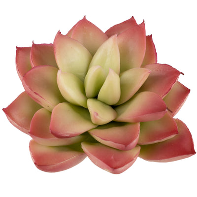 Planta artificiala Planta artificiala suculenta model65