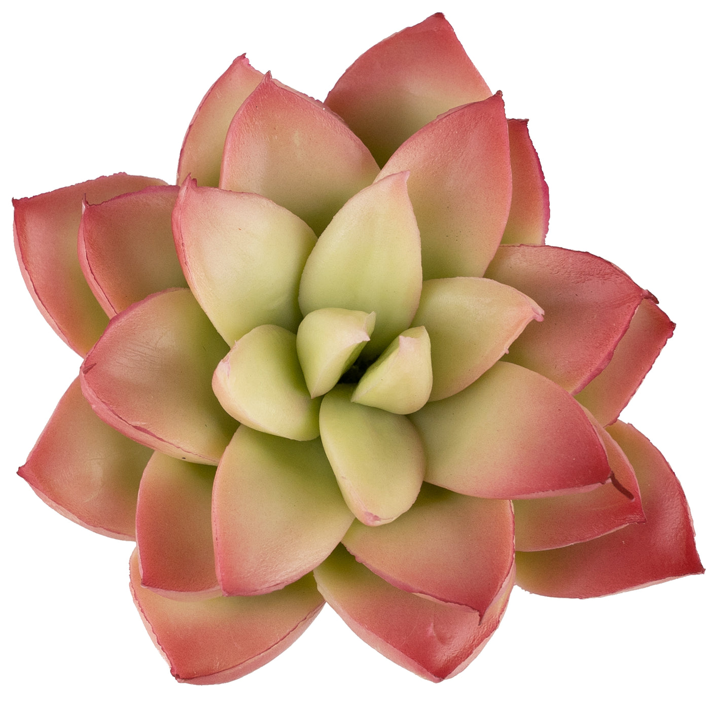 Planta artificiala Planta artificiala suculenta model65