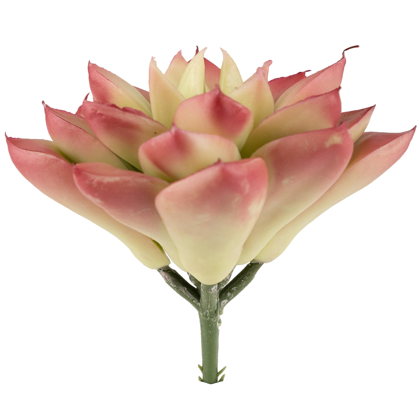 Planta artificiala Planta artificiala suculenta model65