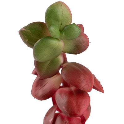 Planta artificiala Planta artificiala suculenta model66