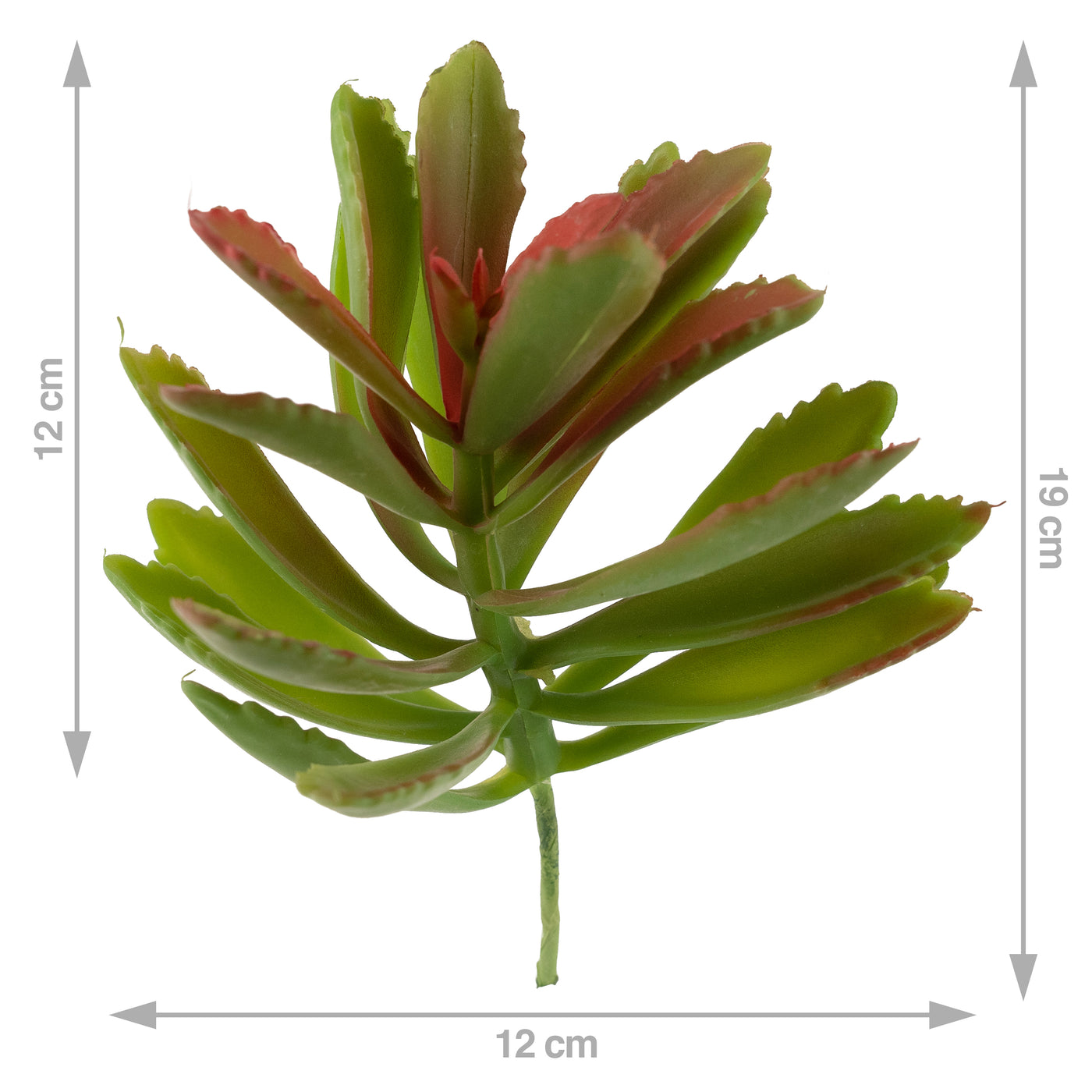 Planta artificiala Planta artificiala suculenta model67