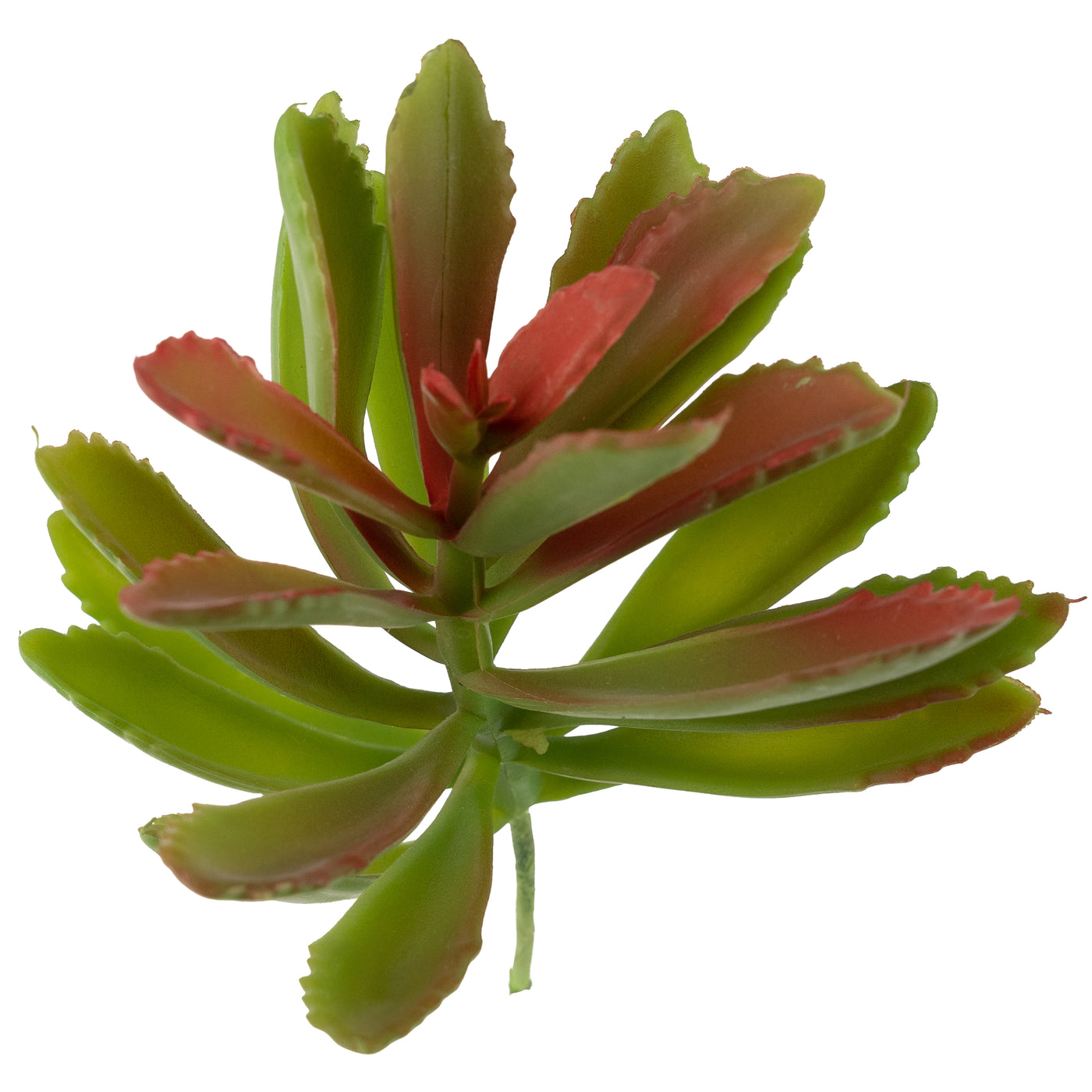 Planta artificiala Planta artificiala suculenta model67